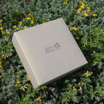 коробка самосборная Дикая Орхидея